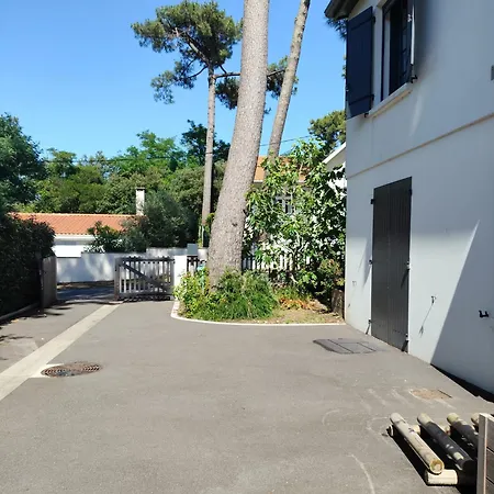 Les 